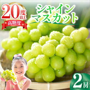 yӂ邳Ɣ[Łzy2026N9{`zyʌzy̒łӂʏ`z嗱 VC}XJbg 2[ 1.3kgȏ / Ԃǂ uhE t[c ʕ / 쓇s / cʎ[SFN001]