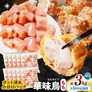 yӂ邳Ɣ[Łzy6ցzؖ  3kgi300g×10܁j Jbgς 쓇Y /@{  Ƃ  { Ⓚ / 쓇s / ГnuC[[SFS028]