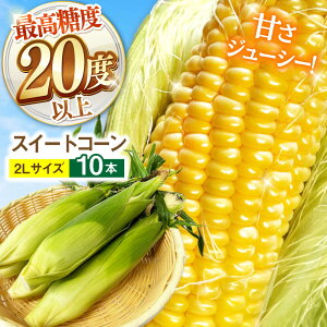 yӂ邳Ɣ[Łzy2026N6`zyōx20xȏIzƂ낱 2LTCY 10{ / S[hbVlI gERV R[ XC[gR[ / 쓇s / OaT[rX[SGB00