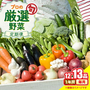 yӂ邳Ɣ[Łzy12ցz؂̃vI {̖؃Zbg 12`13i ؒ /  ₳ Zbg VN / 쓇s / 2_[SGG001]