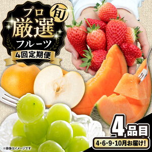 yӂ邳Ɣ[Łzy4ցzvI {̃t[c / ʕ t[c ʕ t[c / 쓇s / 2_[SGG002]