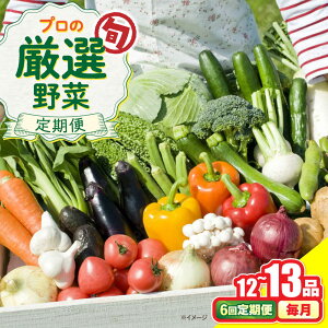 yӂ邳Ɣ[Łzy6ցz؂̃vI {̖؃Zbg 12`13i ؒ /  ₳ Zbg VN / 쓇s / 2_[SGG003]