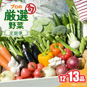 yӂ邳Ɣ[Łz؂̃vI {̖؃Zbg 12`13i ؒ /  ₳ Zbg VN / 쓇s / 2_[SGG005]