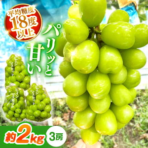 yӂ邳Ɣ[Łzy2026N7`zVC}XJbg 2kgi3[j/ VC}XJbg Ⴂ܂ Ԃǂ uhE / 쓇s / K}_XԂǂ[SGL001]