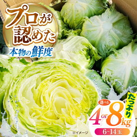 【ふるさと納税】【選べる内容量】【2026年12月〜発送】レタス 約4kg or 約8kg / れたす 野菜 やさい / 南島原市 / 株式会社松尾青果[SGU005]
