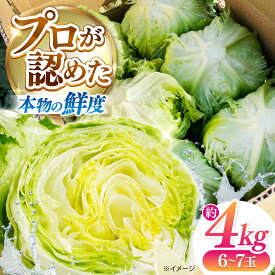 【ふるさと納税】【2026年12月〜発送】レタス 約4kg（6〜7玉）/ れたす 野菜 やさい / 南島原市 / 株式会社松尾青果[SGU006]