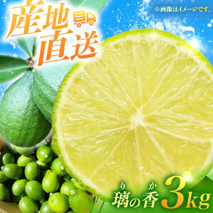 yӂ邳Ɣ[Łzy茧^Yz̍ i ̂ j 3kg  [2025N8{蔭[ ^/㊹k [EAA005] ̂  3kg t[c ʕ  ʎ k EG  