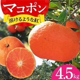 【ふるさと納税】【先行予約】＜ デコポン の子供＞ マコポン 4.5kg ー2025年12月下旬より発送ー 長与町/井上柑橘園[EAA006]