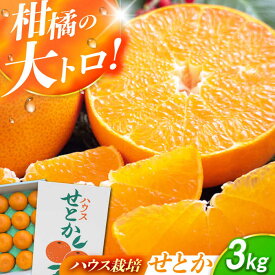 【ふるさと納税】【化粧箱】 ハウスせとか 約3kg（12-15玉）ー2026年3月より発送ー 長与/JAじげもん長与直売所[EAF005] せとか みかん ミカン 蜜柑 果物 フルーツ セトカ オレンジ 柑橘 化粧箱入り 3kg ハウス栽培 ハウス