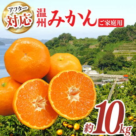 【ふるさと納税】【ご家庭用】みかん 約 10kg（100〜120個）ー2025年11月下旬より発送ー長与町/長崎西彼農業協同組合 長与支店 [EAH003] 温州みかん みかん10kg ミカン