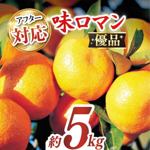 yӂ邳Ɣ[ŁzyDiz} 5kg i50`60j[2025N11{蔭[^/萼ޔ_Ƌg ^xX [EAH005] ݂ ~J