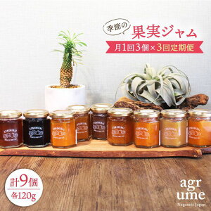 �y�ӂ邳�Ɣ[�Łz�y�S3�����ցz �G�߂̉ʎ��W���� ����3�{�i120g/�{�j ���^��/�A�O�����[�� [EAI007] �r �� �Z�b�g �W����