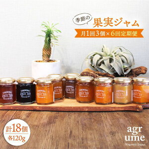 �y�ӂ邳�Ɣ[�Łz�y�S6�����ցz �G�߂̉ʎ��W���� ����3�{�i120g/�{�j ���^��/�A�O�����[�� [EAI008] �r �� �Z�b�g �W����