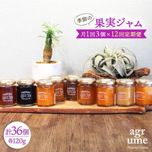 �y�ӂ邳�Ɣ[�Łz�y�S12�����ցz �G�߂̉ʎ��W���� ����3�{�i120g/�{�j ���^��/�A�O�����[�� [EAI009] �r �� �Z�b�g �W����