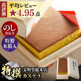 【ふるさと納税】【木箱入り】特撰カステラ 580g 長与町/文明堂総本店 [EAK001] カステラ 木箱 贈答