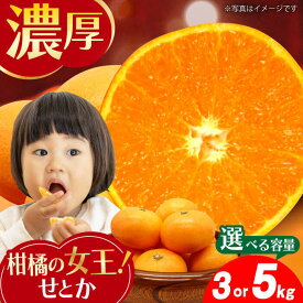 【ふるさと納税】みかん『せとか』 約3〜5kg -2026年2月中旬頃から順次発送- 長与町/かわはら [EAS002] 柑橘 完熟 みかん ミカン 果物 フルーツ くだもの 国産 せとか 先行予約 数量限定 九州みかん 長崎県 長与町 みかん