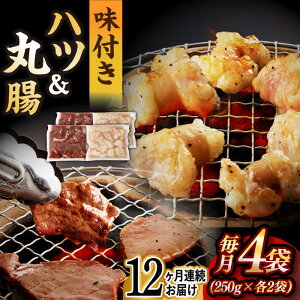 yӂ邳Ɣ[ŁzyS12ցzyzBYa z 2 v1kgi nc 250g×2܁E ے 250g×2܁j ^/iz [EAX145] Y z ~bNX  t Ⓚ ē 