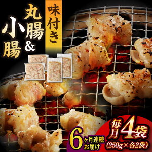 yӂ邳Ɣ[ŁzyS6ցzyz BYa z 2 v1kgi  250g×2܁E ے 250g×2܁j ^/iz [EAX156] Y z ~bNX  t Ⓚ ē 
