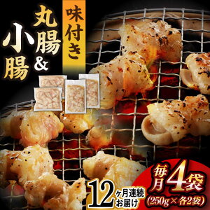 yӂ邳Ɣ[ŁzyS12ցzyz BYa z 2 v1kgi  250g×2܁E ے 250g×2܁j ^/iz [EAX157] Y z ~bNX  t Ⓚ ē