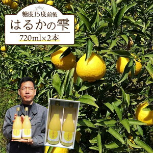 yӂ邳Ɣ[Łzyx15xOz͂邩̎i720ml×2{j^/i_ [EAZ001]