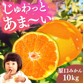 【ふるさと納税】【2026年11月より発送】原口みかん 10kg（箱込み） 長与町/岩永農園[EAZ005]