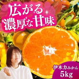 【ふるさと納税】伊木力みかん 5kg（箱込み）長与町/岩永農園[EAZ006]