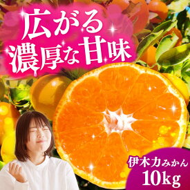 【ふるさと納税】伊木力みかん 10kg（箱込み）長与町/岩永農園[EAZ007]