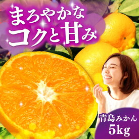 【ふるさと納税】青島みかん 5kg（箱込み）長与町/岩永農園[EAZ008]