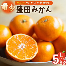 【ふるさと納税】【限定数量】盛田みかん Lサイズ 約5kg（約40〜45個前後）ー2025年12月より発送ー 長与町/山口農園 [EBI003] 盛田 みかん 温州みかん 柑橘 フルーツ 果物 季節限定 希少 稀少 長崎県産 長与町 産地直送 先行予約