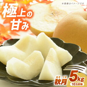 yӂ邳Ɣ[ŁzyʌzHij5kgi16ʑO L`3Lj[2026N9蔭[ ^/a_ [EBY003] 茧Y ^ s\ e t[c ʕ  Ȃ iV H Â 