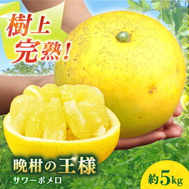 【ふるさと納税】【数量限定】サワーポメロ 約 5kg ー2026年3月より発送ー 長与町/ 溝上農園 [EBY004] サワーポメロ 先行予約 国産 柑橘 果物 くだもの 文旦 フルーツ お取り寄せ 長崎県産 長与町 文旦 ぶんたん ボンタン ザボン