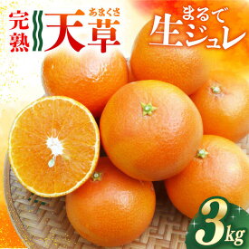 【ふるさと納税】【ご家庭用】 天草 （あまくさ） 3kg ー2026年2月より発送ー 長与町/果豊園 [ECL002] みかん ミカン 柑橘 フルーツ 果物 完熟 季節限定 家庭用 先行予約 長崎県産 長与町