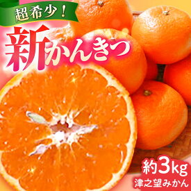 【ふるさと納税】【ご家庭用】 津之望約3kg（つののぞみ） 長与町/果豊園[ECL008]