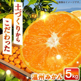【ふるさと納税】【自然の力を活かした栽培】温州みかん（普通） 5kg -2025年12月下旬より発送- 長与町/農事組合法人希望種（きぼうのたね）[ECQ005] 先行予約 温州 みかん ミカン 蜜柑 柑橘 除草剤不使用 長崎県 長与町 フルーツ 果物 旬 お取り寄せ こだわり 甘い