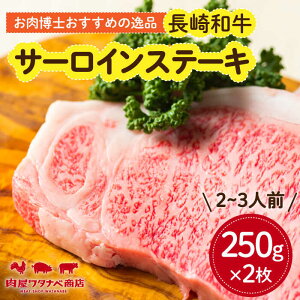 yӂ邳Ɣ[Łza T[CXe[L 250g×2 ^/^ixX[ECT009] Y  a  T[C Xe[L [낢 ā[ ē Ⓚ j  Mtg _炩 Â