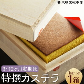 【ふるさと納税】【選べる定期便】特撰カステラ 1号 580g 1箱 3ヶ月/6ヶ月/12ヶ月 定期便 カステラ カット済み お菓子 スイーツ デザート 長崎カステラ かすてら 和三盆 ざらめ おやつ 菓子 木箱入り 贈答 ギフト 贈り物 文明堂 長崎 送料無料