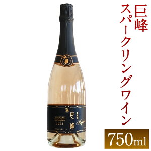 yӂ邳Ɣ[ŁzXp[NOC2023 750ml ÒY􃏃C C A Y {Y BY Y  TNA[h  AR[ r  yVX[p[SALE 9J