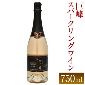 yӂ邳Ɣ[ŁzXp[NOC2024 750ml ÒY􃏃C C A Y {Y BY Y  TNA[h  AR[ r 