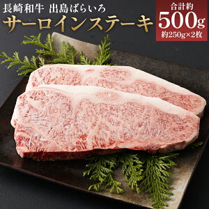 yӂ邳Ɣ[Łza A5 o΂炢 T[CXe[L v500g 250g×2 a  Xe[L  茧Y BY Y Ⓚ  yVX[p[SALE 9J