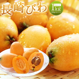 【ふるさと納税】長崎びわ 約1kg 約250g×4パック Lサイズ 秀品相当 長崎県産 枇杷 ビワ びわ フルーツ 果物 果実 季節品 ギフト 贈り物 送料無料【2026年5月下旬～6月上旬迄発送予定】