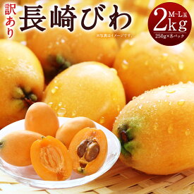 【ふるさと納税】訳あり 長崎びわ 約2kg 約250g×8パック M〜Lサイズ 長崎県産 枇杷 ビワ フルーツ 果物 果実 傷あり ご家庭用 送料無料【2024年5月下旬～6月上旬に順次発送予定】