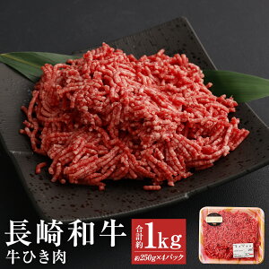 yӂ邳Ɣ[Łza100 Ђ v1kg 250g×4pbN a   ~`  茧Y BY Y Ⓚ  yVX[p[SALE 9J