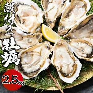 �y�ӂ邳�Ɣ[�Łz�呺�p�Y �k�t�� ���y ���M�p A�Z�b�g ��2.5kg �_�C�_�C2�t�� �i�C�t�E�R��t�� ���� �J�L ���� �① �y2026�N2�����{�����������\��z