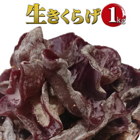 【ふるさと納税】生きくらげ 1kg ご家庭用 中華 和食 スイーツ 食べる漢方 冷蔵 純国内産 送料無料【2024年6月上旬より順次発送予定】