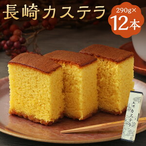 yӂ邳Ɣ[ŁzJXe 0.5 290g×12{ v3480g JbgȂ Ă U 萅 َq aَq XC[c B 茧 Ò  yVX[p[SALE 9J