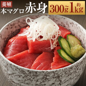 yӂ邳Ɣ[Łz茧Y {}O Ԑg 300g/500g/800g/1kg Iׂeʁy呺pƋgz