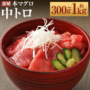 yӂ邳Ɣ[Łz茧Y {}Ougv300g/500g/700g/800g/1kg Iׂe y呺pƋgz yVX[p[SALE 9J