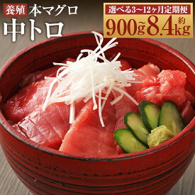【ふるさと納税】【選べる定期便】長崎県産 本マグロ「中トロ」約300g/約500g/約700g/約800g/約1kg 3ヶ月/6ヶ月/12ヶ月 選べる内容量 定期便 33000円 〜 266000円 3万3000円 ～ 26万6000円 鮪 マグロ トロ 魚 魚介【大村湾漁業協同組合】