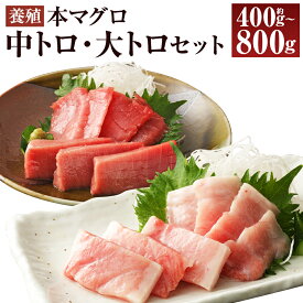 【ふるさと納税】＜選べる内容量＞訳あり 長崎県産 本マグロ 大トロ・中トロセット 皮付き 部位おまかせ 計約400g / 計約800g マグロ まぐろ 鮪 魚介類 水産物 海産物 魚 さかな 海鮮 刺身 刺し身 詰め合わせ 養殖 冷凍 国産 長崎県 時津町 送料無料
