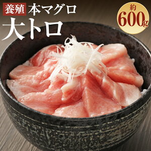yӂ邳Ɣ[Łz茧Y {}Ougv600gy呺pƋgz